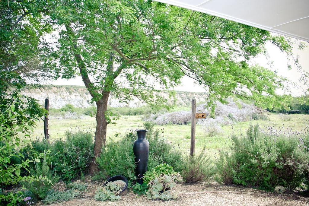 De Old Drift Guest Farm Villa Addo Exterior photo